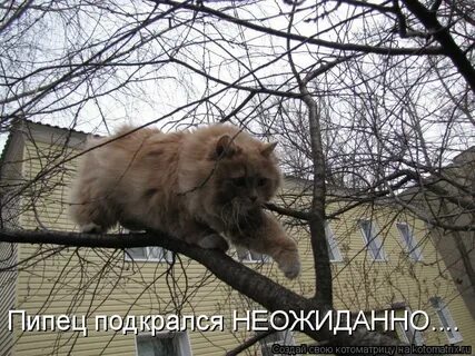 Подкрался неожиданно