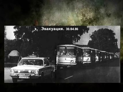 Времена года эвакуировали