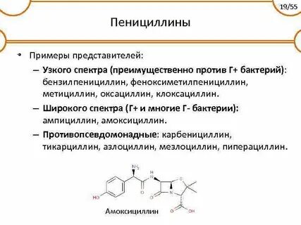 Пенициллин бактерии