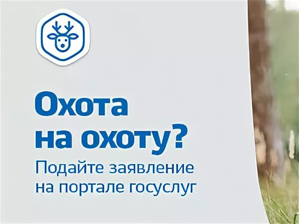 разрешение на охоту на утку. охота подать заявку. охота подать заявку. бланк заявления на охотничью путевку. охотничий билет на госуслугах.