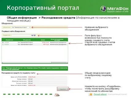 Лицевой счет мегафон