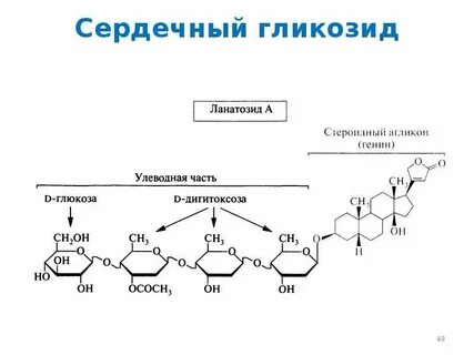 Гликозид
