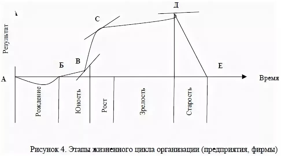 Анализ цикла организации