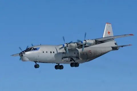 Черный тюльпан ан 12