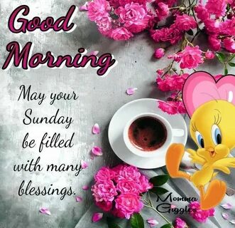 Morning 3