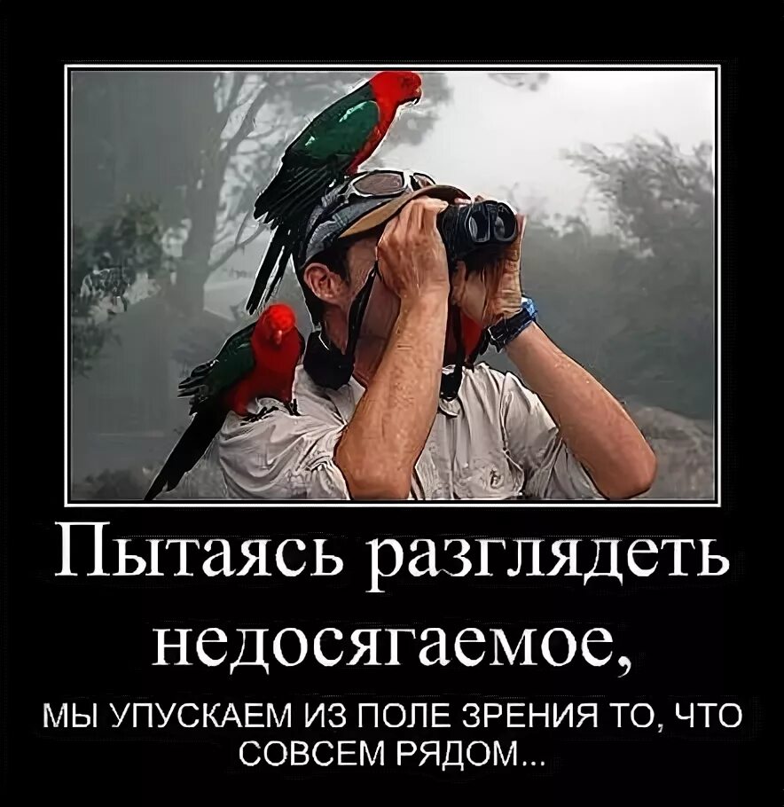 Стереокартинки. Китаец щурится. Старался разглядеть. Старался разглядеть. Стереограммы объемные 3д.