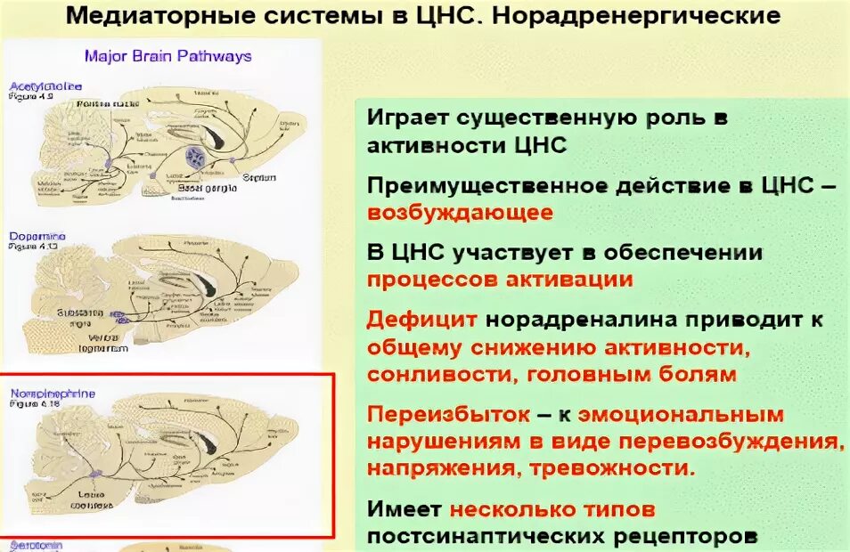 Дисфункция диэнцефальных структур