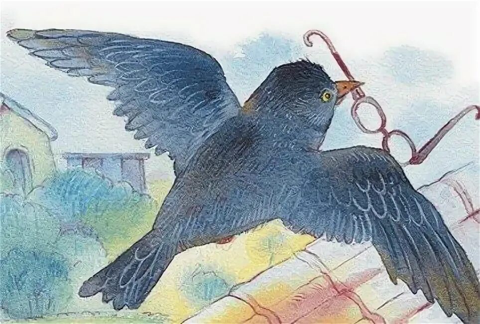 Житков галка читательский дневник. Житков галка читательский дневник. Б житков галка. Рассказ галка житков. Рисунок к рассказу галка.