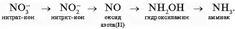 Азот нитраты и нитриты. Нитрит азота формула. Нитрат и нитрит ионы. Нитрат азота формула. Нитрит ионы формула.