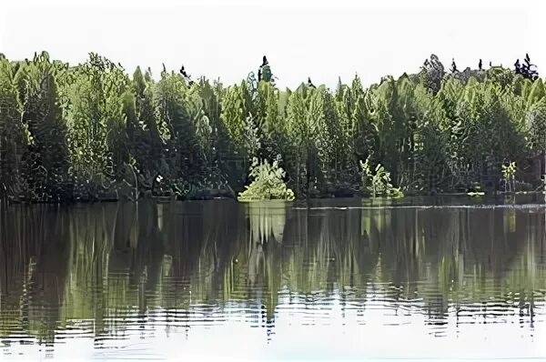 Красота нашей уржумской земли. Озеро Шайтан