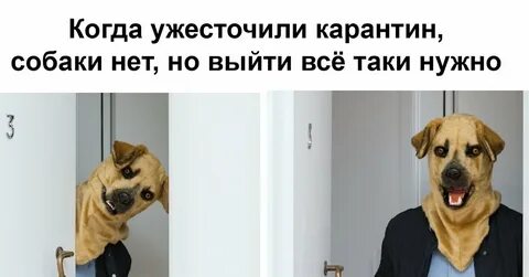 Новые проблемы требуют новых решений