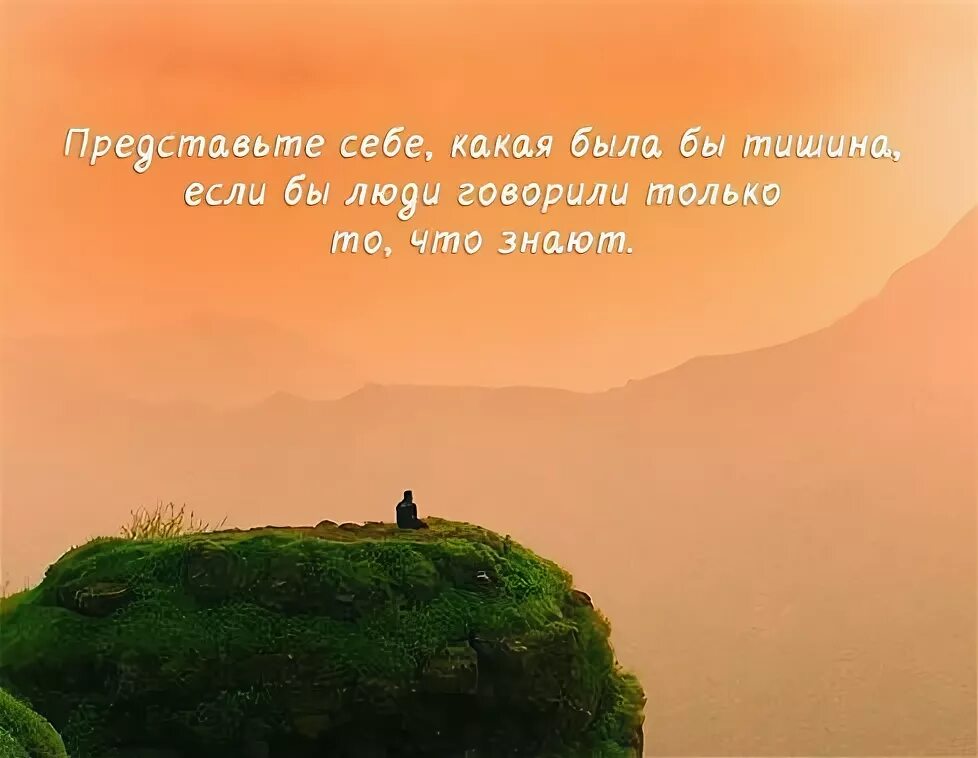 Человек и Гармония в природе фразы. Мысли для размышления. Статусы про гармонию с природой. Мудрые слова про гармонию. Приходить молчание