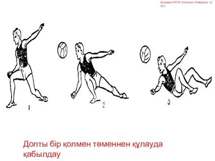 Үйдегі кеуделердің суреттері