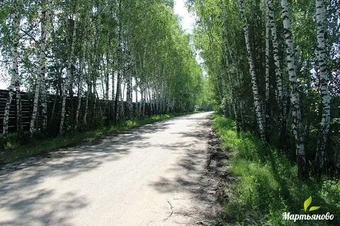 Погода мартьяново