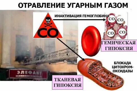 Сожгли 40 л угарного газа
