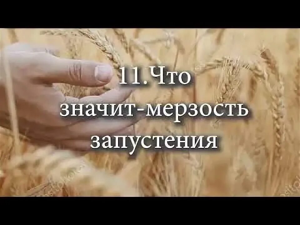 Мерзость запустения это. Мерзость запустения это