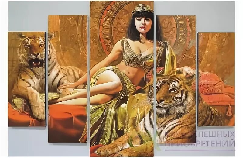 Моя царица королева тигрица