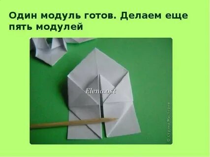 5 модулей по технологии