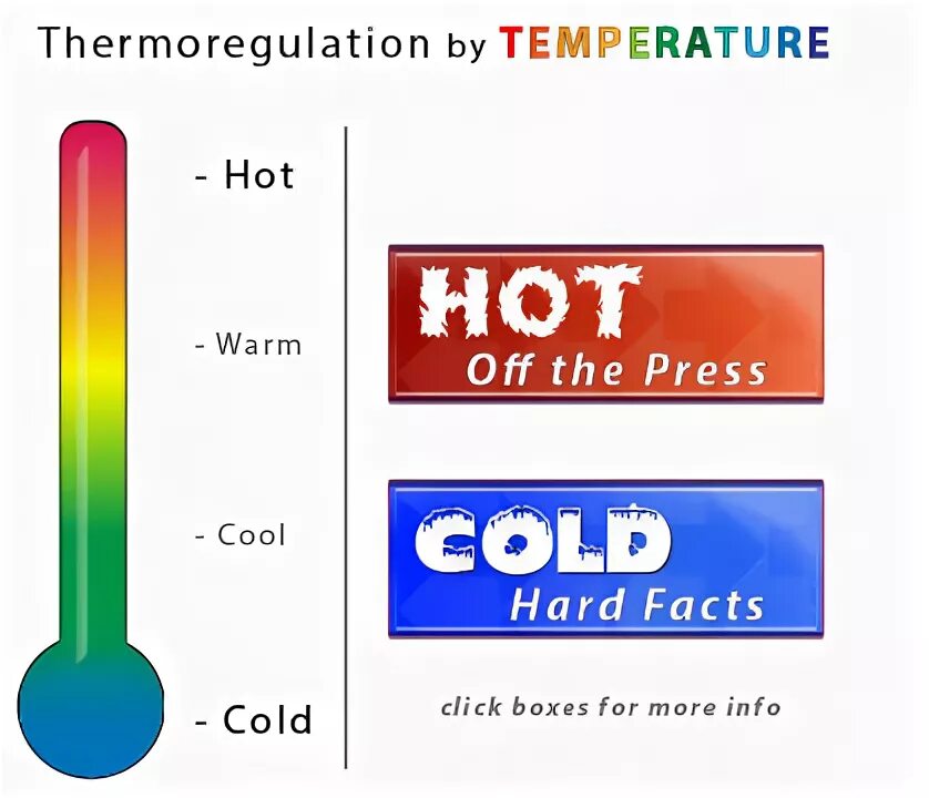 Hot cold yours. Cold warm hot. Warm temperature. Cold cool warm hot. Cool temperature.