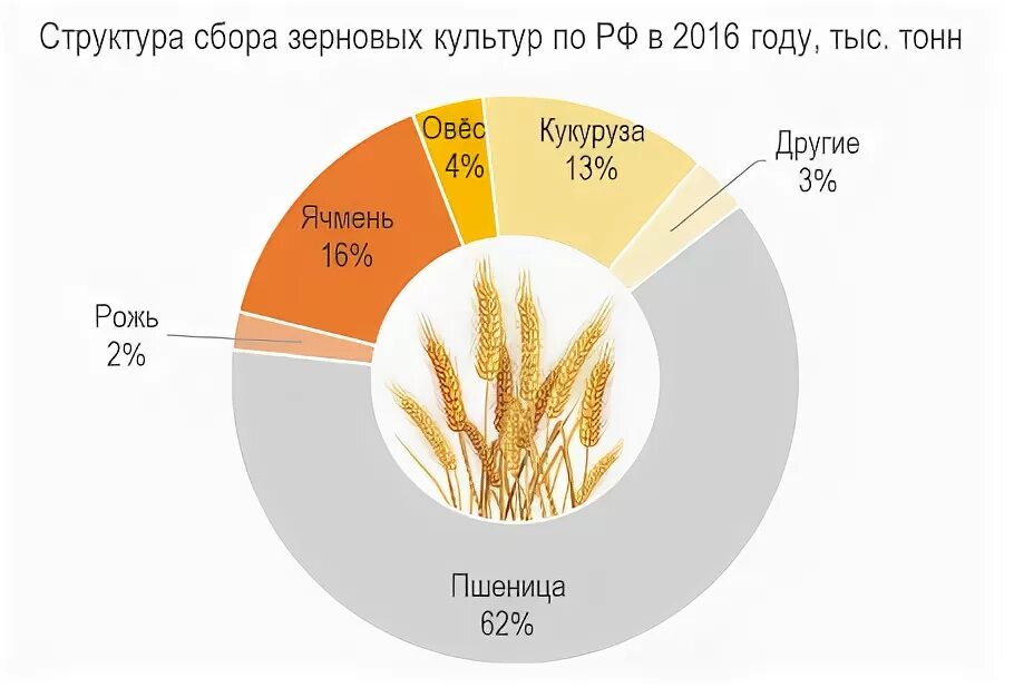 Крупные производители технических культур. Структура производства зерновых культур в России. Диаграмма производства пшеницы. Структура посевных площадей сельскохозяйственных культур таблица. Диаграмма объем производства зерна.