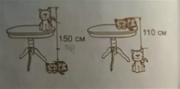 Задача высота стола. Высота стола кот и черепаха. Задача высота стола кот черепаха. Задача какова высота стола. Задача какова высота стола с кошкой и черепахой.