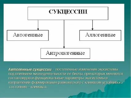 Антропогенные изменения экосистем