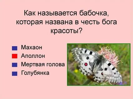 Животное названное в честь