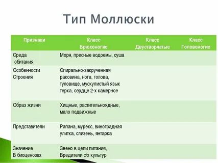 Брюхоногие двустворчатые головоногие