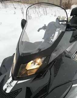 Lynx adventure