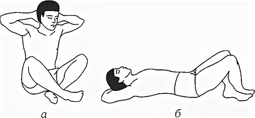 Упражнение 16 страница 101. Упражнения ю Афанасьева для Шен. Тренировка для внимания: три упражнения, чтобы сосредоточиться. Собаки лежащие на правом боку и с приподнятой головой.