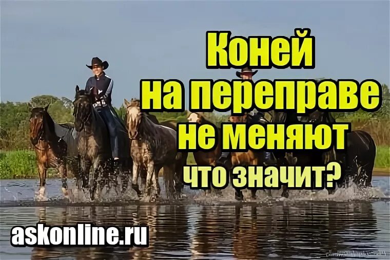 Лошадь переправа. Коней на переправе не меняют. Пословица на переправе коней не меняют. Кони на переправе. Выражение менять коней на переправе.