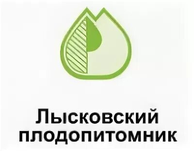 ОАО Плодопитомник Лысково. Лысковский питомник. ОАО «Плодопитомник», Лысковский район.