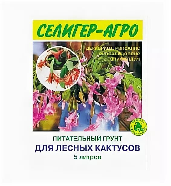 Земля для декабриста. Почва для декабриста. Декабрист цветок грунт. Грунт для декабриста. Рождественник цветок.