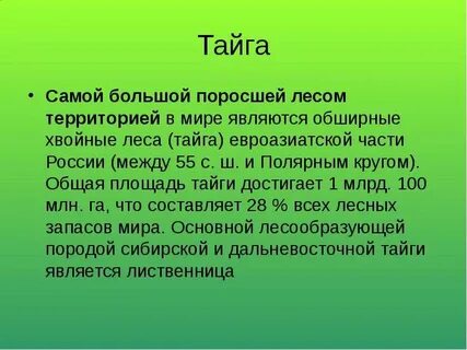 Рассказ о тайге 4 класс