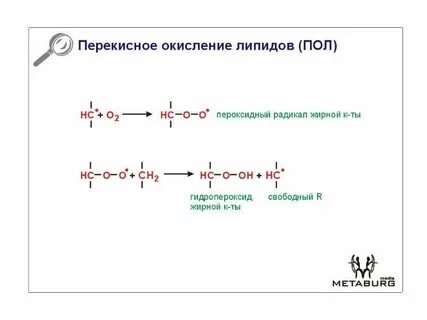 Пероксидный радикал