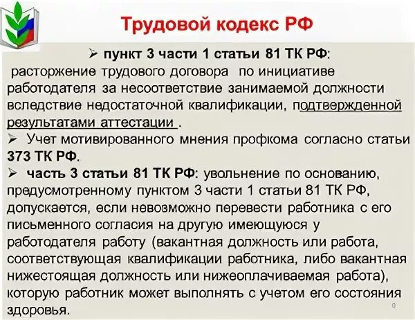 Глава 4 статья 81. Глава 4 статья 81