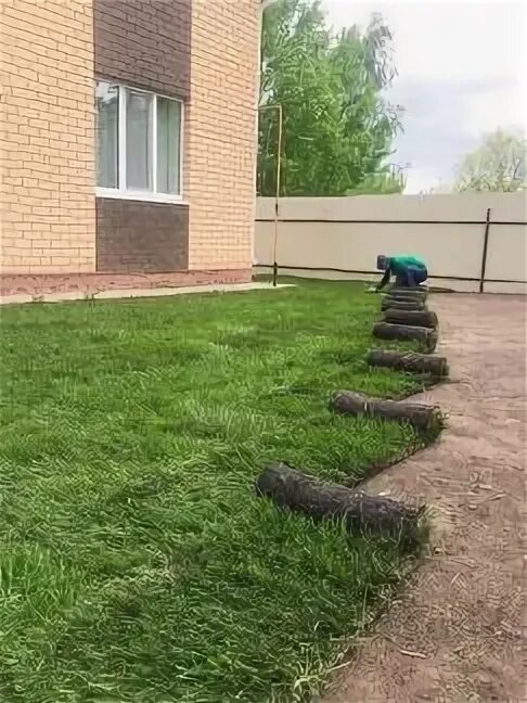 Газон казань. Газон у казанского. татарские газоны казань.