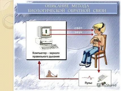 Системы биологической обратной