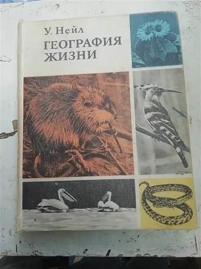 Книги нейла