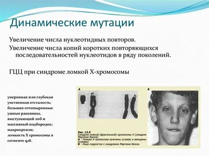Мутация мужчин