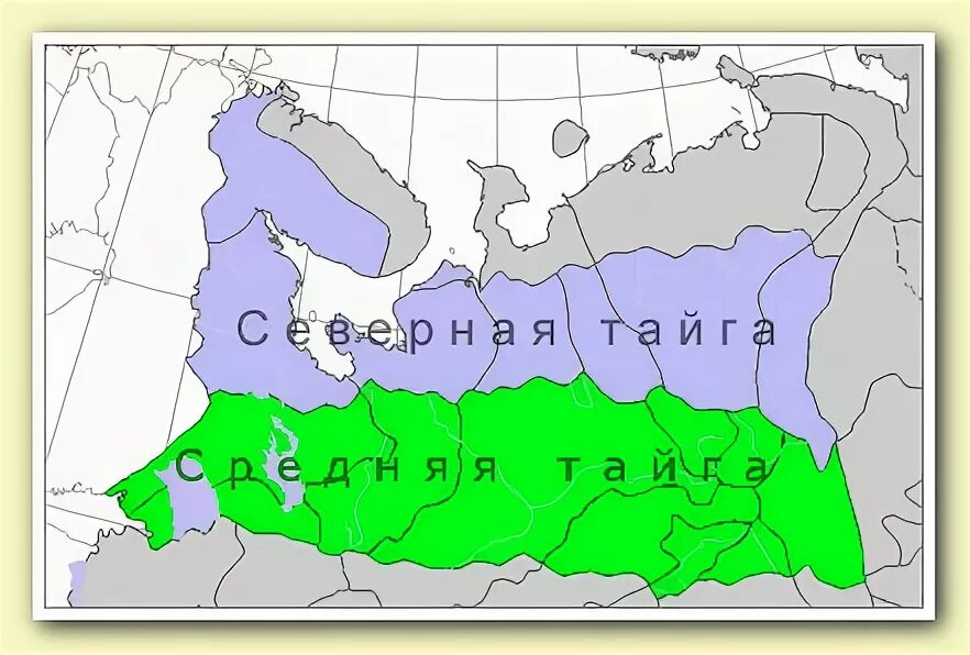 Северная подзона тайги России. Южная граница тайги. Северная Тайга на карте. Южная граница тайги в России на карте.