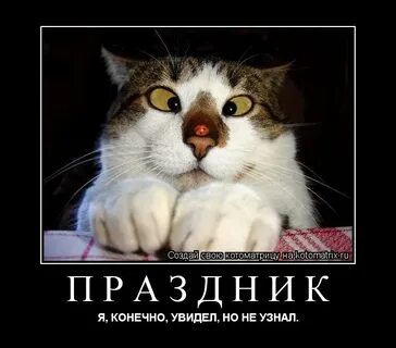 Конечно увидите