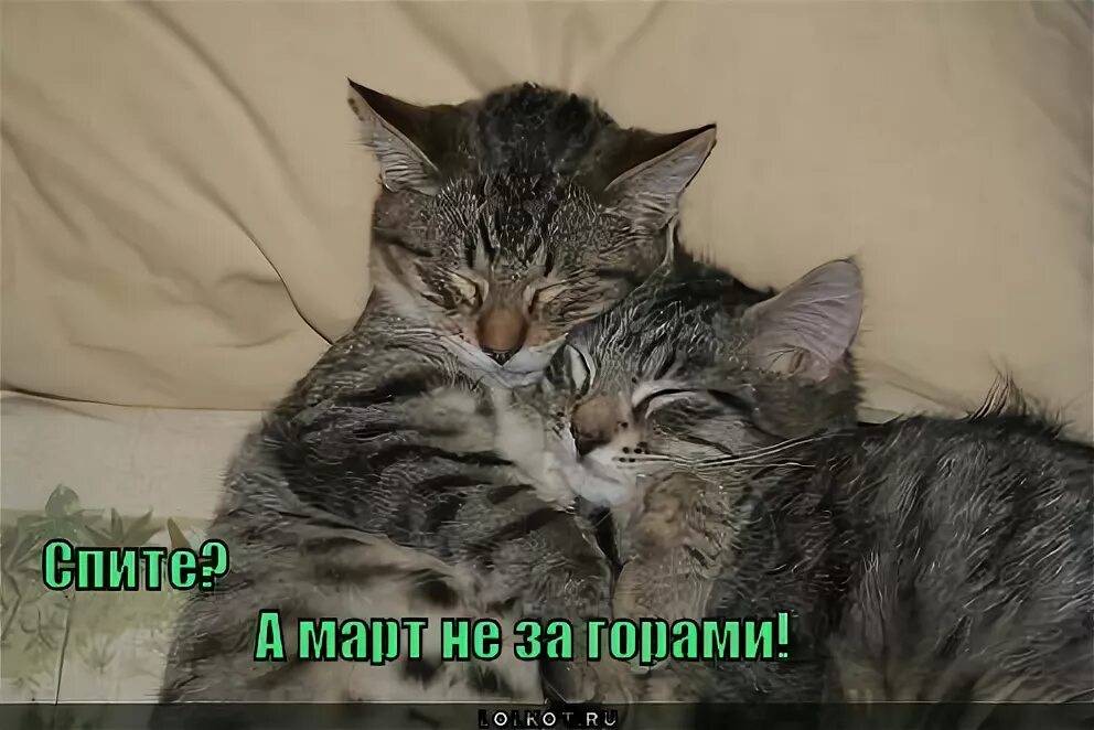 Я тоже люблю рисковать. А любит она совсем другого. Цитаты прощай любовь. Я ее любил. А она меня тоже любит.