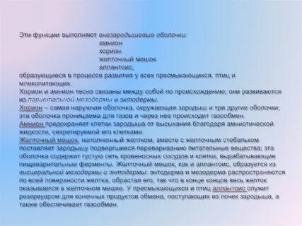 Функции желточного мешка