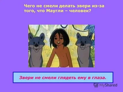 Презентация маугли обществознание