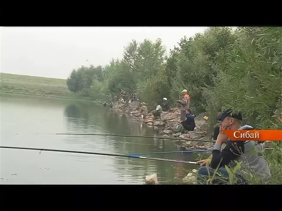 Рыбалка в абдулкаримово. Рыба сибай фото. Рыба сибай. Рыба сибай. Река худолаз.