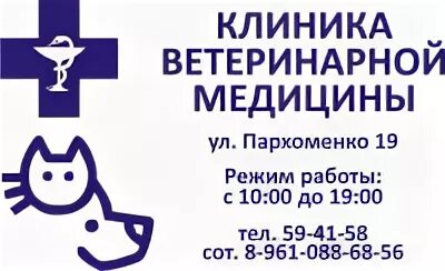 Москва ул молодцова д 4а. Режим работы ветклиники. Иветас ветклиника мурманск. Визитка ветеринара. Ветклиника адреса и режим работы.