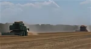 Ясенские зори. Молочная ферма чувашская республика. Парк победы должанская. Команда болельщиков. Ясенские зори.