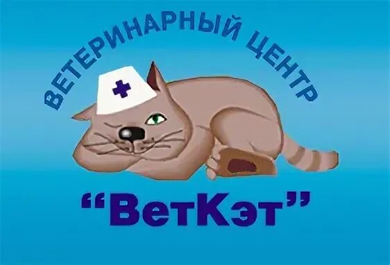 Вет кэт. Ветклиника вет Кэт. Вет Кэт Строгино. Ветклиника вет Кэт СПБ.