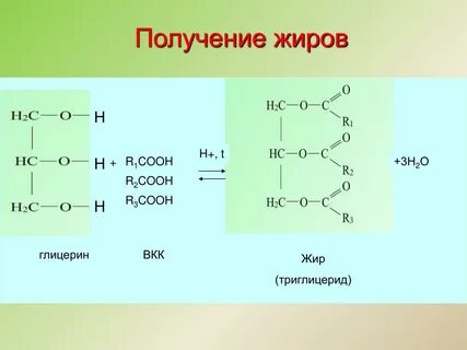 Как получить из жидкого жира твердый уравнение